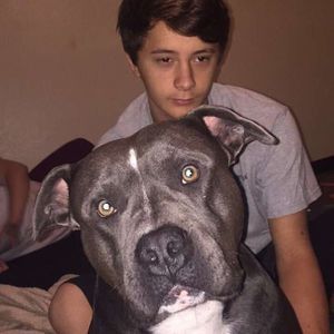 Meet your Posher, Dylan